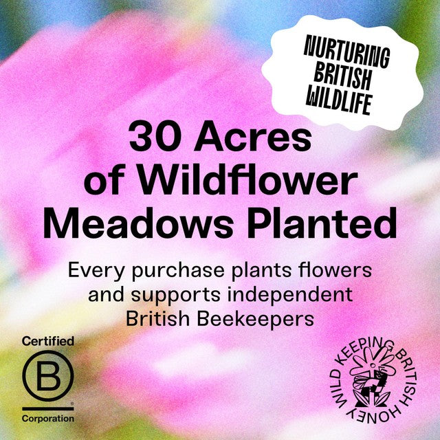 Black Bee British Summer Runny Wildflower Honey 227g - British product