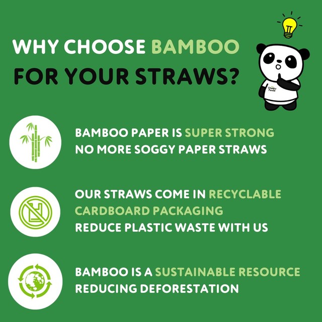 The Cheeky Panda bamboo paper straws striped 100 pack - British product