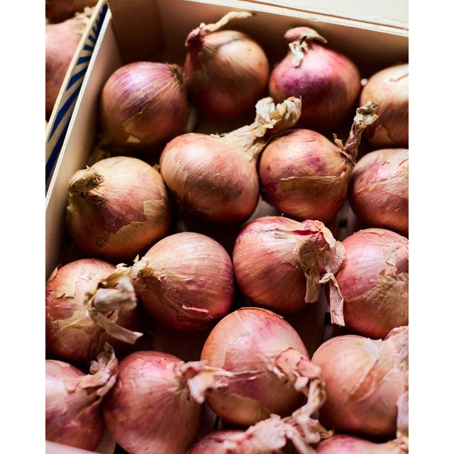 Natoora Pink Onions from Brittany 450g, imported from the UK