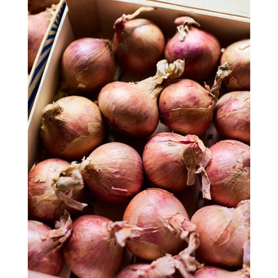 Natoora Rosa Zwiebeln aus der Bretagne Frische Zwiebeln 450g