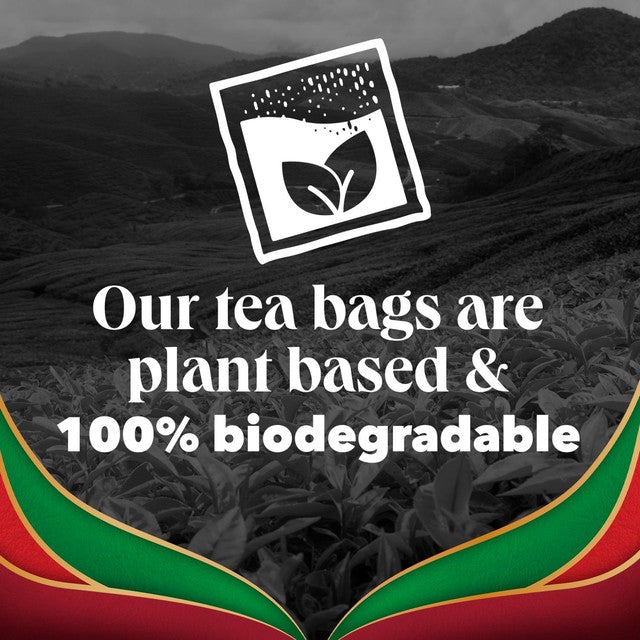 PG Tips English Breakfast tea bags, imported from the UK
