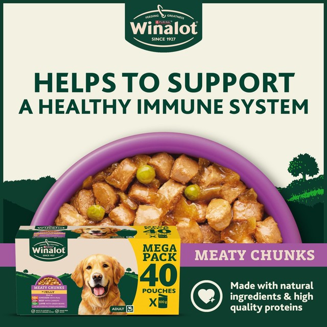 Winalot Meaty Chunks wet dog food pouches, imported from the UK