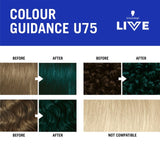 Schwarzkopf LIVE Intense Colour U75 Midnight Jade hair dye box, UK version