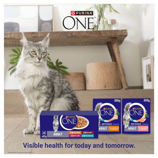 Purina One Senior cat food mixed selection 40x85g, imported from the UK