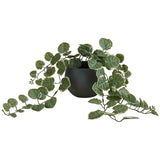 M&S artificial trailing eucalyptus in ceramic pot grey 16cm, imported from the UK