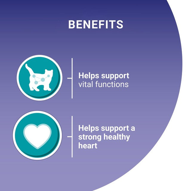 Purina One Senior cat food 8x85g, imported from the UK