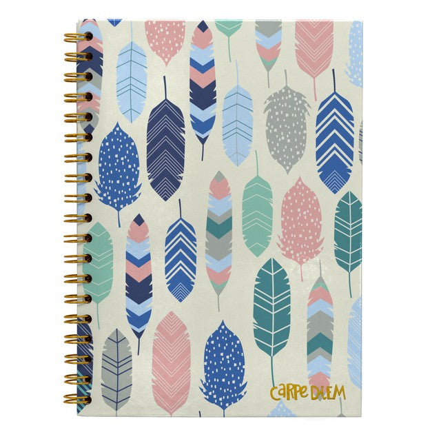 Pukka Pad Carpe Diem B5 spiral hardcover notebook, imported from the UK