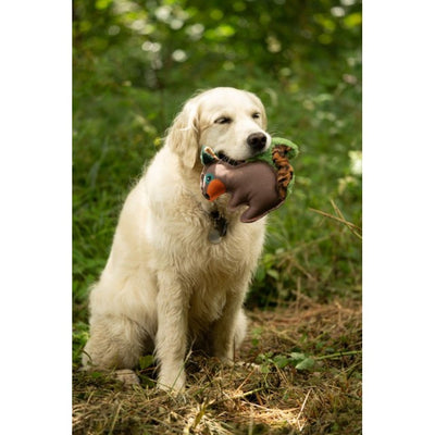 Petface Jouet pour chien en peluche Écureuil Salina