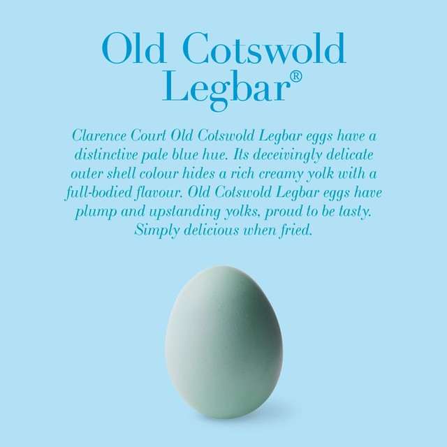Clarence Court Cotswold Legbar eggs 6 pack - British product