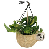 Green Plant in Hanging Sloth 13cm