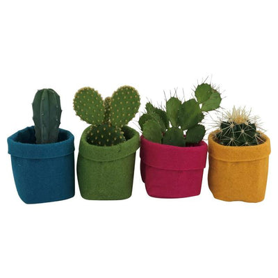 Sainsburys Mini Cactus Felt Bags 55cm- Buy online at McGrocer