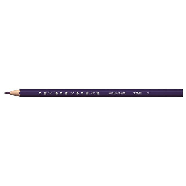 Bic kids watercolour pencils 12 pack - British product
