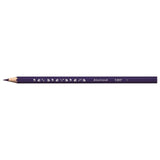 Bic kids watercolour pencils 12 pack - British product