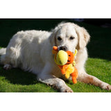 Petface Buddies Caterpillar Dog Toy, imported from the UK