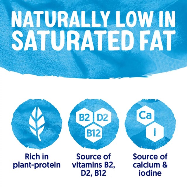 Alpro soya milk alternative 1L - British product