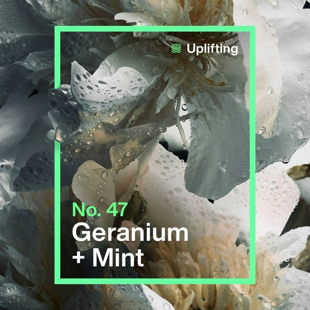 INEOS Deodorant Wipes Geranium Mint 15 Pack, UK version