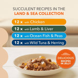 IAMS cat food variety mix 48 pouches 85g each, UK version