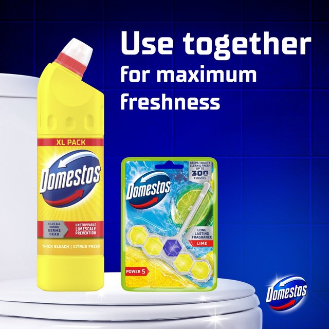 Domestos Citrus Fresh Thick Bleach 1.25L - British product