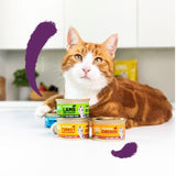 Edgard & Cooper cat chunks in sauce salmon and chicken 85g - British product