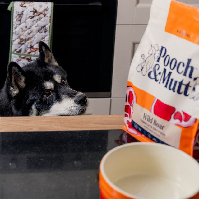 Pooch & Mutt Primal Wild Boar dry dog food 2kg (British brand)