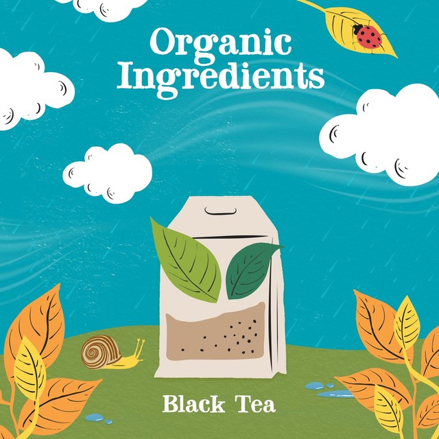 Clipper Fairtrade Everyday Tea Bags 80 Bags - British product