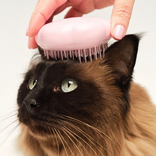 Tangle Teezer cat brush pink for short to medium fur, UK version