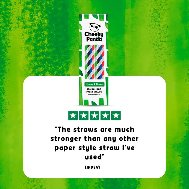 The Cheeky Panda bamboo paper straws striped 100 pack - British product
