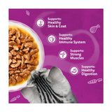 Whiskas wet cat food pouches Aromatic Fusion in Gravy 12 x 85g (British brand)