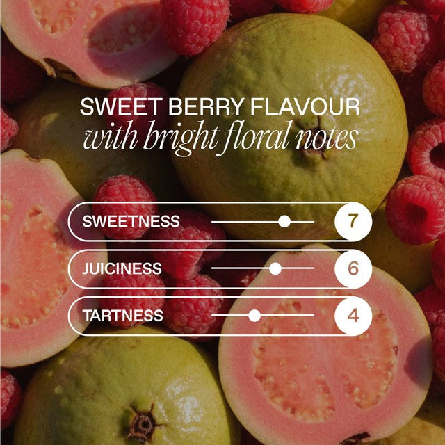 Goodrays Raspberry & Guava CBD drink 4 x 250ml, UK version