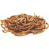 National Trust CJ Wildlife dried mealworms 250g, imported from the UK
