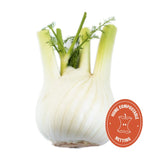 Wholegood organic fennel 350g pack (British brand)
