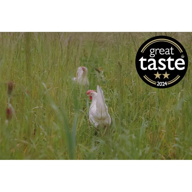Packington free range white eggs 6 pack, imported from the UK