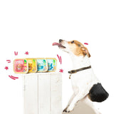 Edgard & Cooper dog food with organic beef - British product