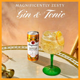 Tanqueray Flor de Sevilla gin and tonic ready-to-drink can 250ml (British brand)