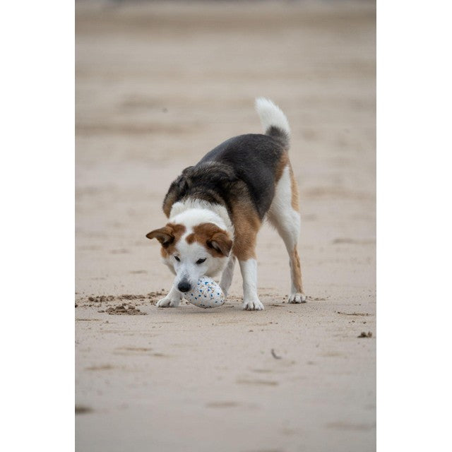 Petface Outdoor Paws Mighty Rugby Ball dog toy, imported from the UK