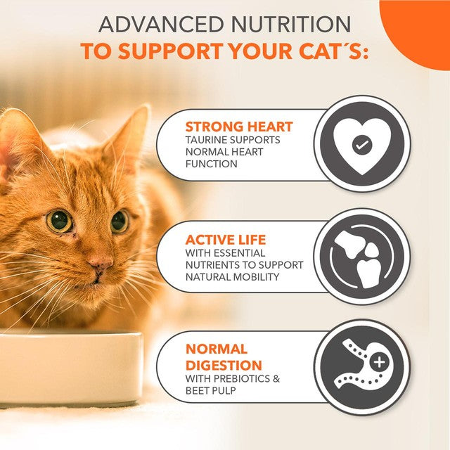 Iams dry cat food chicken 3kg, UK version