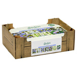 Bulbs Blue  White Collection x100