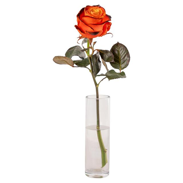 Halloween Themed Decorative Rose