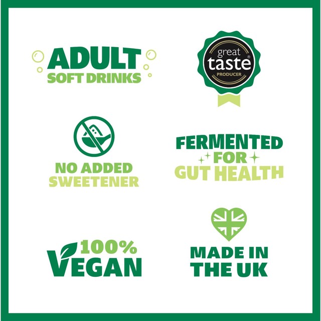 Genie Dry Apple Kombucha 330ml, UK version