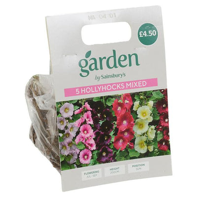 Sainsburys Hollyhocks Mixed Color Seeds x5- اشترِ عبر الإنترنت من McGrocer