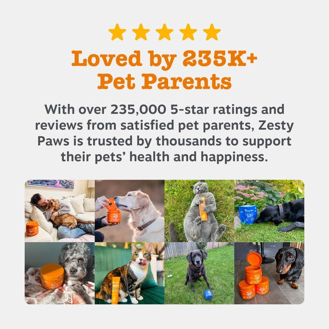 Zesty Paws senior dog chews turkey flavour, imported from the UK