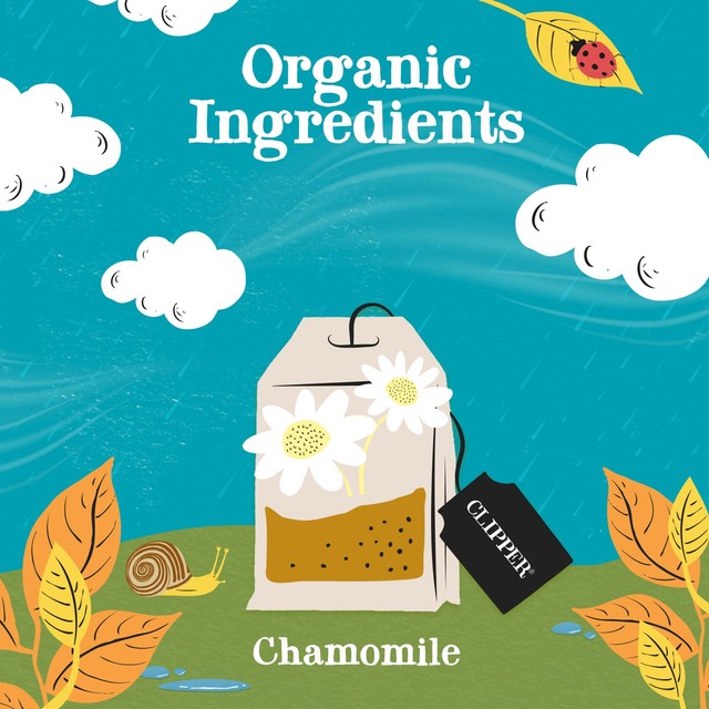 Clipper organic chamomile tea bags 20 count - British product
