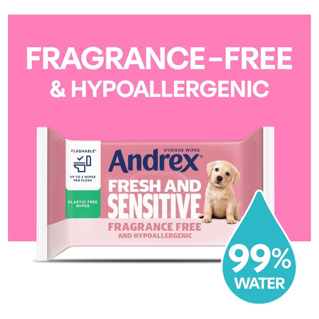 Andrex Fresh and Sensitive Hygiene Wipes 30 per pack - British product