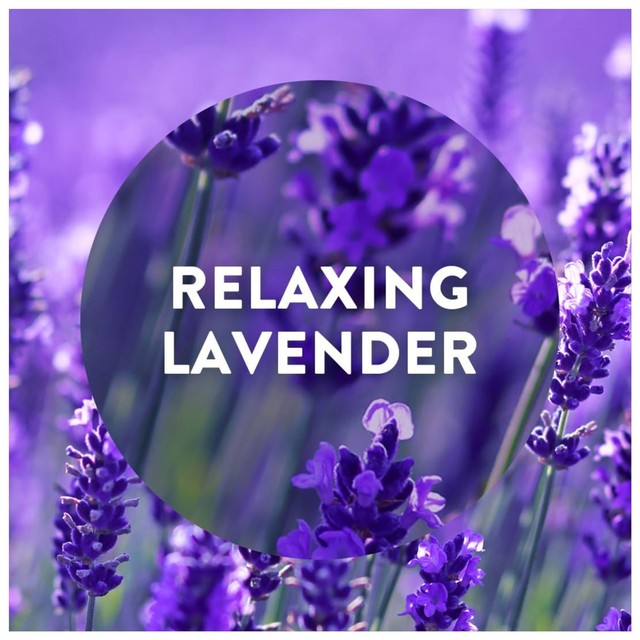 Airwick purple lavender plug-in air freshener refill 19ml - British product
