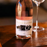 Virgin Wines 16 Little Black Pigs Rosé Wine 75cl, UK version