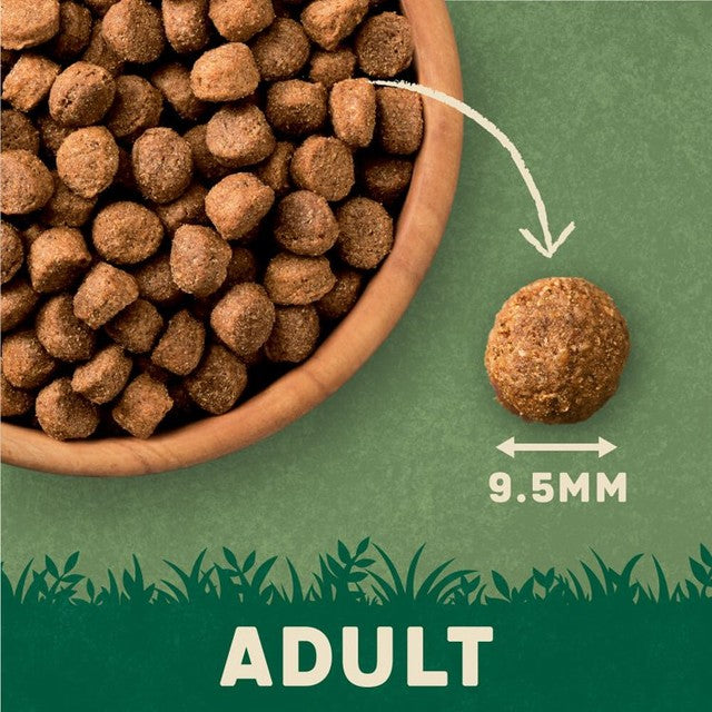 Harringtons salmon & potato dry dog food 12kg, UK version