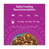 Whiskas dry cat food Surf & Turf 800g - British product