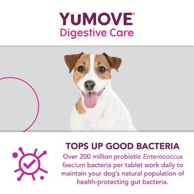 M&S Lintbells YuMOVE Dog Digestive Health Probiotics Supplement 120 Tablets- اشترِ عبر الإنترنت من McGrocer