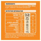 Carnation Caramel Drizzle 450g bottle - British product