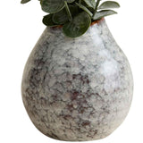 M&S artificial eucalyptus in ceramic pot, green, imported from the UK